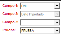 Campo 1 con DNI y Campo 2 con Dato Importado