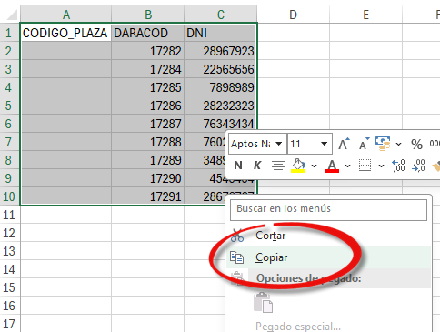 Copia de los datos personales
